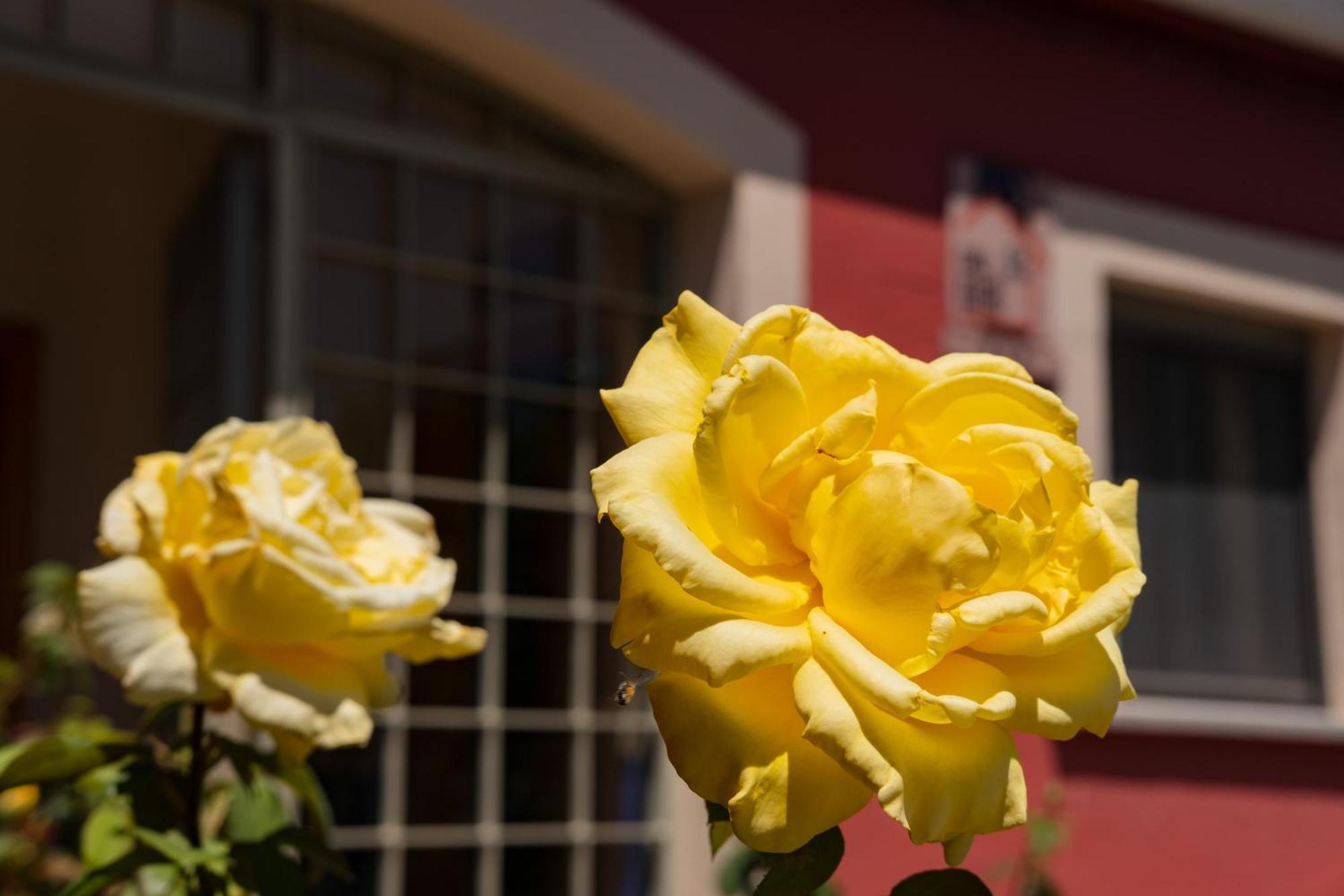 Casa Rural Rinconada La Rinconada de la Sierra Екстер'єр фото